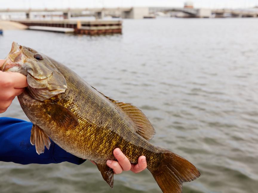 The Landmark Resort | Egg Harbor | 2