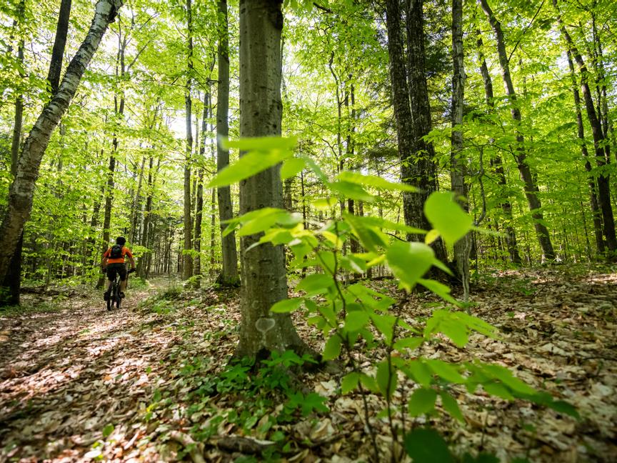 The Landmark Resort | Egg Harbor | 1