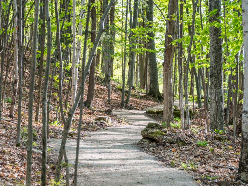 The Landmark Resort | Egg Harbor | 15