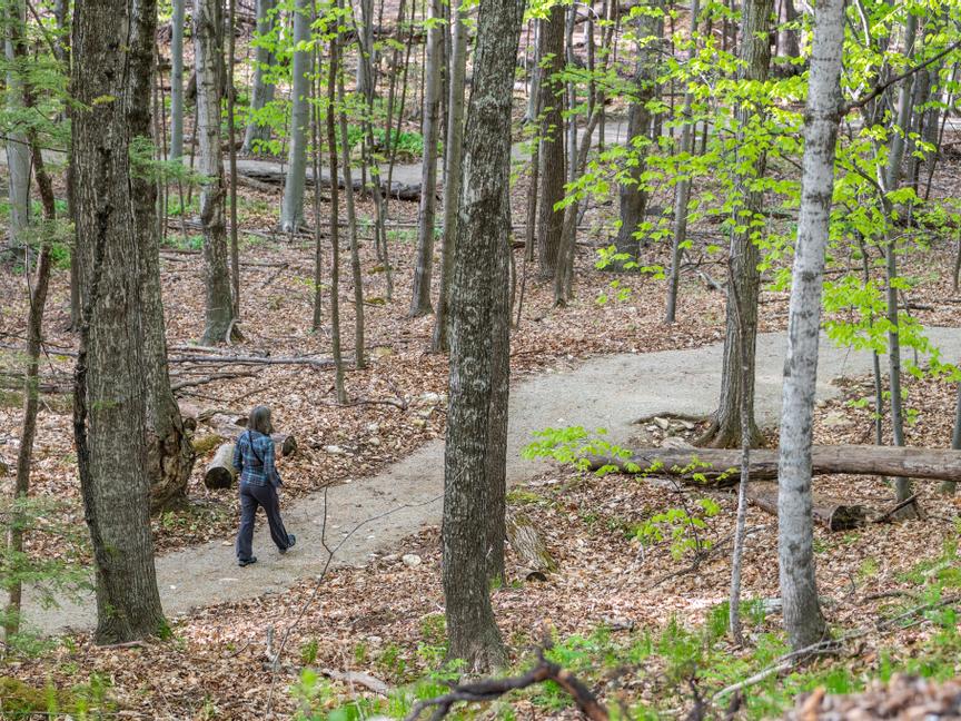 The Landmark Resort | Egg Harbor | 14