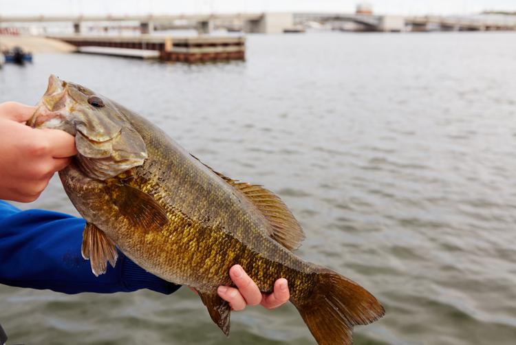 Discover one of the best fishing spots in the country in Door County! Photo Credit: John Nienhuis/Destination Door County