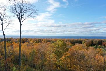 Admire the fall foliage from a water view or woodside unit