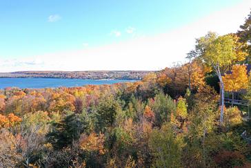 Striking orange foliage stands out against the blue of the bay below