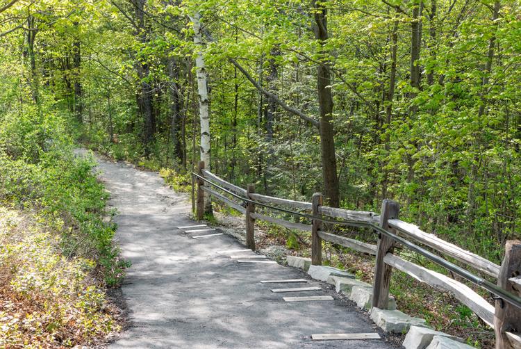 Patti's Path takes you to the bottom of the bluff where you can see some of Door County's most beautiful scenery