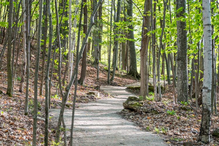 Patti's Path takes you to the bottom of the bluff where you can see some of Door County's most beautiful scenery