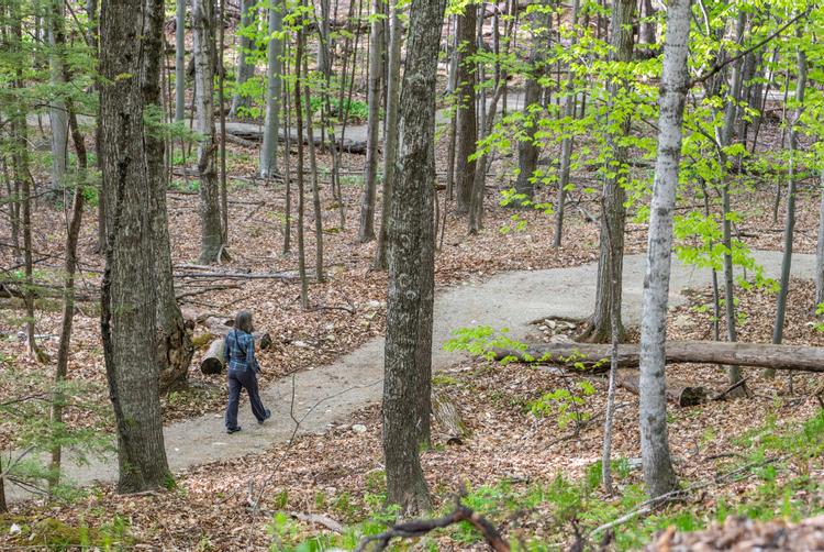 Patti's Path takes you to the bottom of the bluff where you can see some of Door County's most beautiful scenery